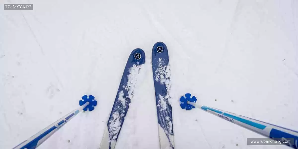 赛事激情，与你同频共振！💥